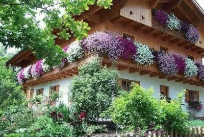casa jigsaw puzzle