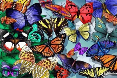 Mariposas