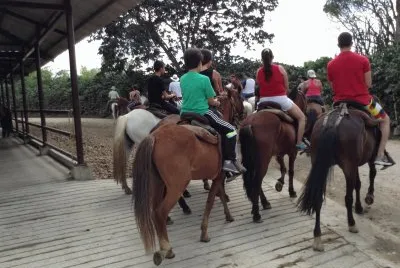 Cabalgata Parque del Cafe Colombia jigsaw puzzle