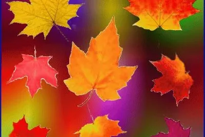 Collage Autumn jigsaw puzzle