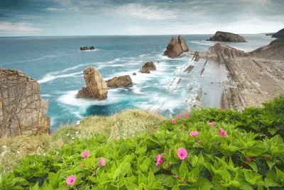 37 jigsaw puzzle
