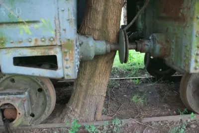 Tree grown between wagons jigsaw puzzle