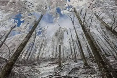 invierno