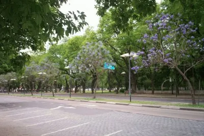 Belgrano avenue jigsaw puzzle