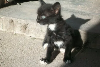 Curious