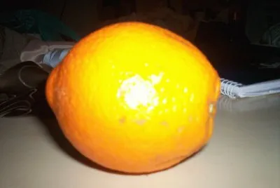 The  "lemon look-a-like " orange jigsaw puzzle
