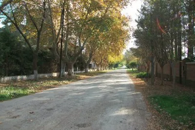 Street in may jigsaw puzzle