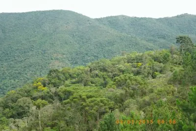 Pinheirais