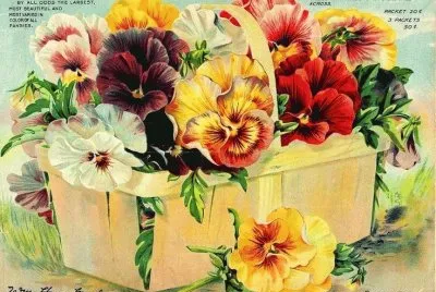 flor