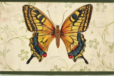 borboleta