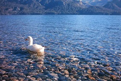 Lago Traful. NeuquÃ©n. Argentina