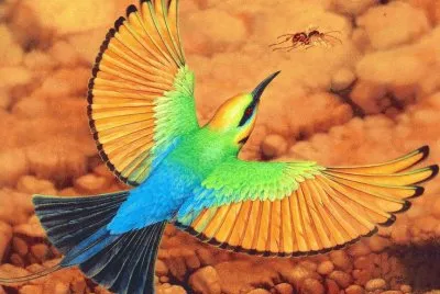 פאזל של Rainbow Bee Eater