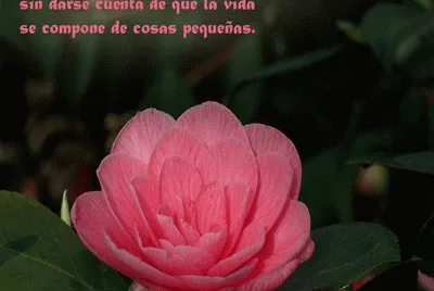 las cosas sencillas