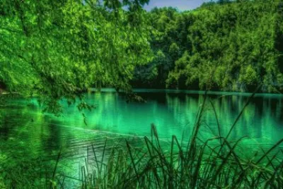 verde jigsaw puzzle