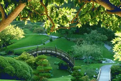 jardin jigsaw puzzle