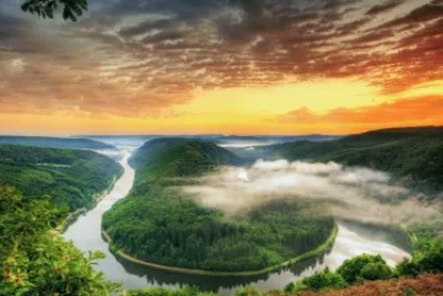 Selva jigsaw puzzle