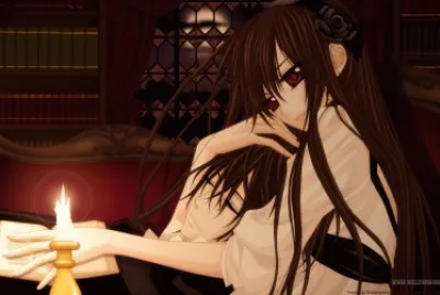 Vampire Knight 1