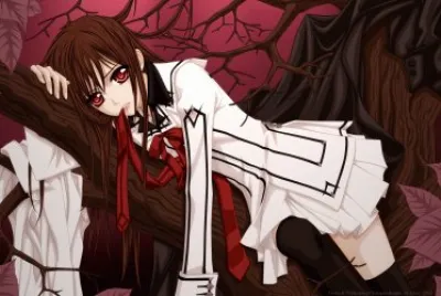 Vampire Knight 11