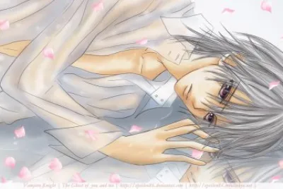 Vampire Knight 21