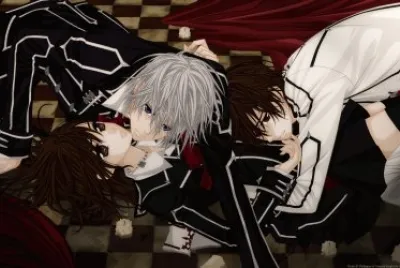 Vampire Knight 25