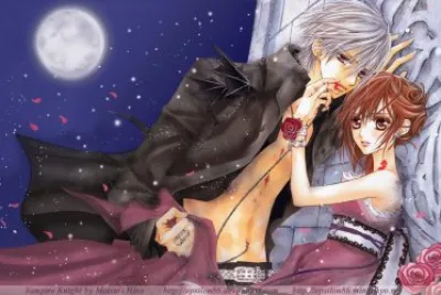 Vampire Knight 28