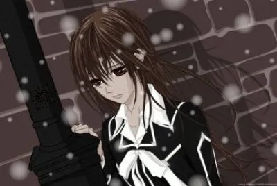 Vampire Knight 37