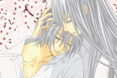 Vampire Knight 48