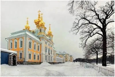 14 jigsaw puzzle