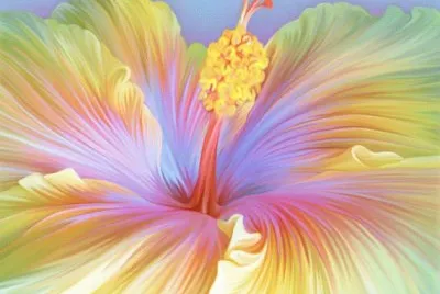 פאזל של Hibiscus Flower