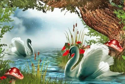 cisnes