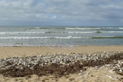Ile de RÃ© jigsaw puzzle