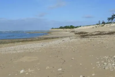 Ile de RÃ© jigsaw puzzle