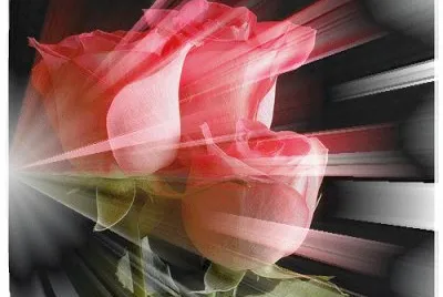 Rosas