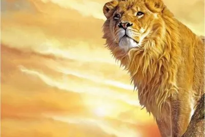 LeÃ³n