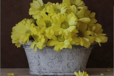 פאזל של flores