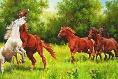 cavalos jigsaw puzzle