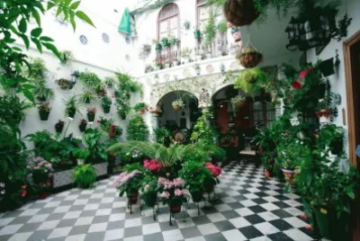 פאזל של jardim