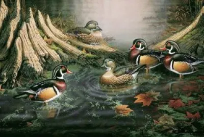 lago jigsaw puzzle