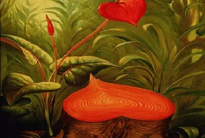 165