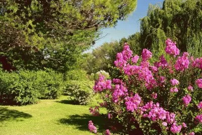פאזל של Tomada en Sierra de la Ventana. Bs. As.- Argentina