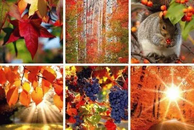 פאזל של imagens