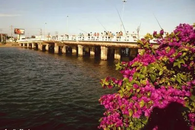 פאזל של rio