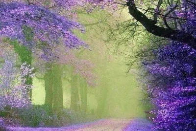 פאזל של Glicinas en flor