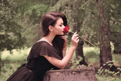 romÃ¡ntica jigsaw puzzle