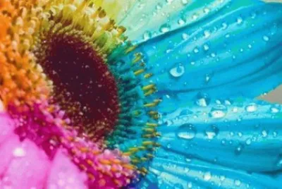 A todo color