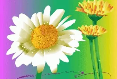 image jigsaw puzzle