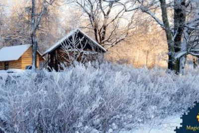 various photos jigsaw puzzle