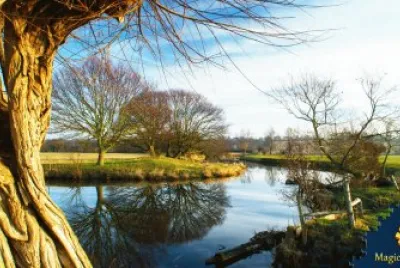 various photos jigsaw puzzle