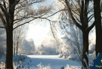 various photos jigsaw puzzle