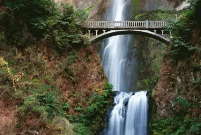 various photos jigsaw puzzle